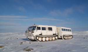 Снегоболотоход