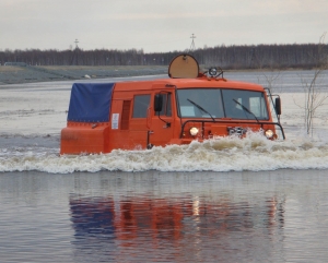 Снегоболотоход