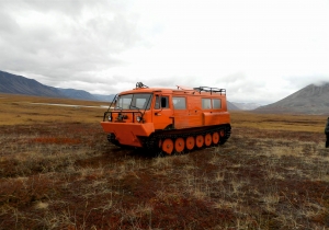 Снегоболотоход