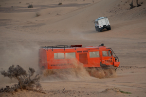 Снегоболотоход ТТМ-3903ПС