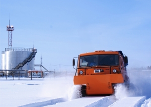 Снегоболотоход