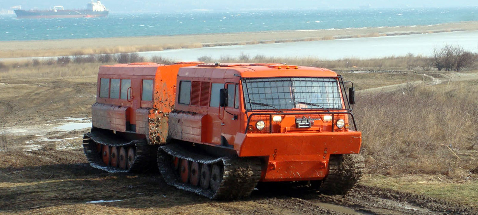 ТТМ