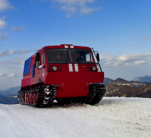 Снегоболотоход ТТМ-3903ПО