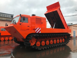 Снегоболотоход ТТМ-6901ГС